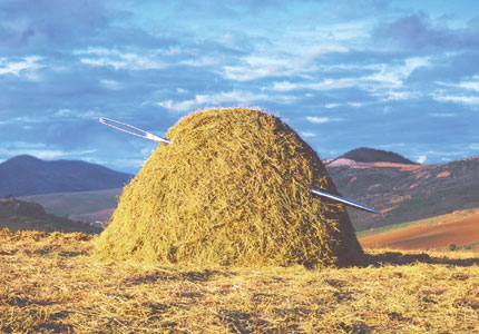 needle in a haystack blogging