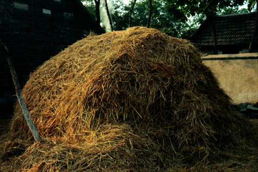 A Haystack